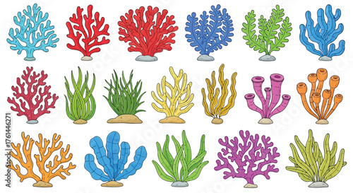 Vector illustration of collection of colorful coral and seaweed