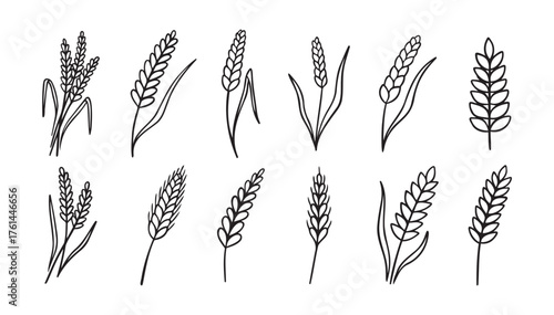 wheat and rye ripe doodle hand drawn icon set. Outline drawing wheat and rye ripe line clipart symbol collection