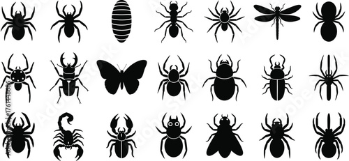 Vector insects silhouettes collection spiders and other bugs