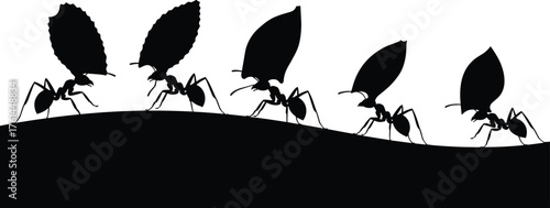 Silhouette of ants carrying leaves teamwork concept, insect colony working together on soil, nature cooperation and hard work illustration
