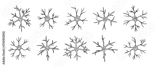 neurons or neuron cells doodle hand drawn icon set. Outline pyramidal neurons drawing line clipart symbol collection