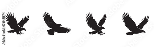 Flying eagle silhouette vector set, majestic bird in flight, wildlife freedom concept, nature symbol, predator illustration for logo, tattoo, poster, and graphic design