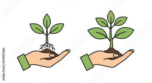 Hands nurturing growth illustrating the stages of a young plant s life