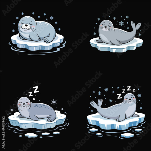 Sleeping seals on ice floes snow water