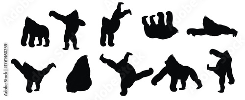Set of Gorilla vector illustration