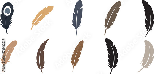Vector art of collection of diverse feathers