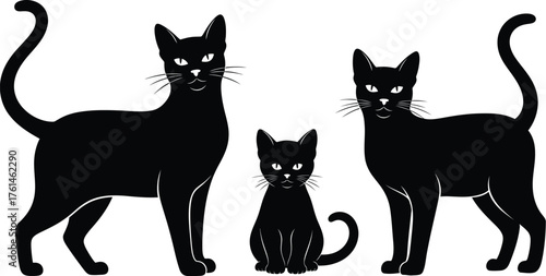 Three black cats of varying sizes stand against a white background, showcasing their sleek silhouettes and watchful eyes.
