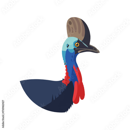 A flat illustration of a cassowarys head and upper body