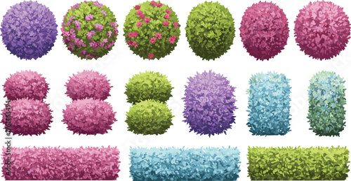 Colorful decorative bushes and hedges collection, round and square topiary plant set, garden greenery, landscaping elements, CAD drawing flat vector illustration, natural foliage design,
