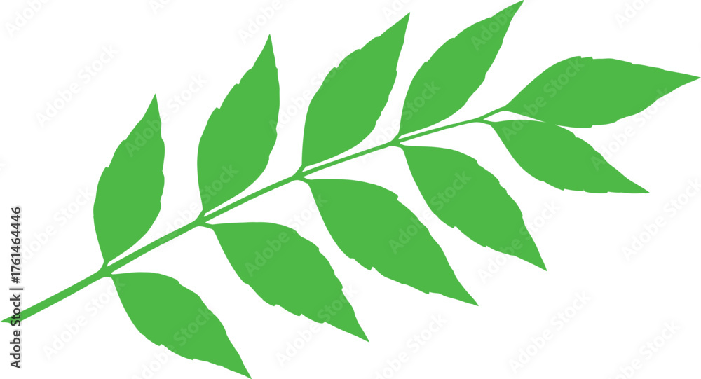 Fototapeta premium Vibrant green leaf branch with delicate veins, symbolizing nature's growth and freshness.