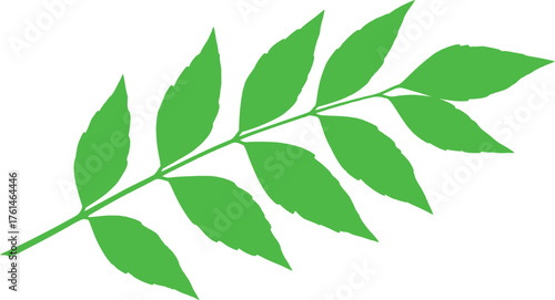 Vibrant green leaf branch with delicate veins, symbolizing nature's growth and freshness.