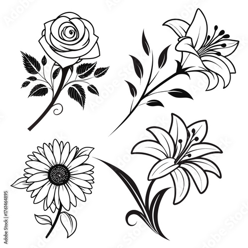 Elegant floral vector compositions rose sunflower lily line art scalable illustration
