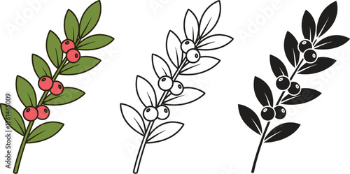 Vector illustration of holly branch with berries and leaves