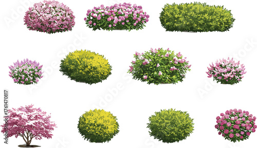 Colorful garden bushes and flowering shrubs collection, detailed green foliage plants, landscape design elements, CAD drawing flat vector illustration, natural garden decoration.