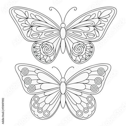 A pair of beautifully detailed butterfly outlines with ornate wing patterns. Black and white insect line art for adult coloring books or stained glass designs