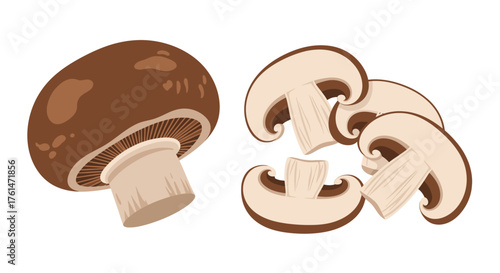 Illustration of a whole brown mushroom and several sliced mushroom pieces
