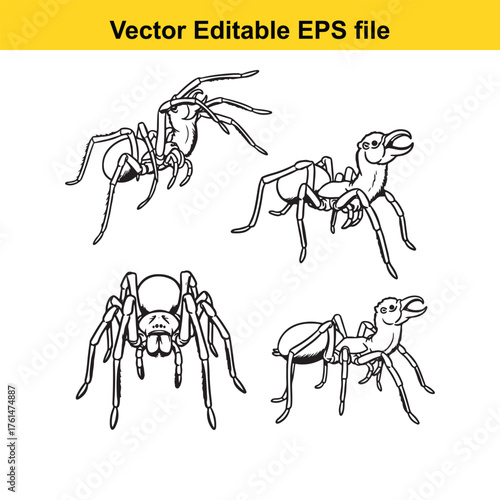 Vector art of group of four spiders and ants