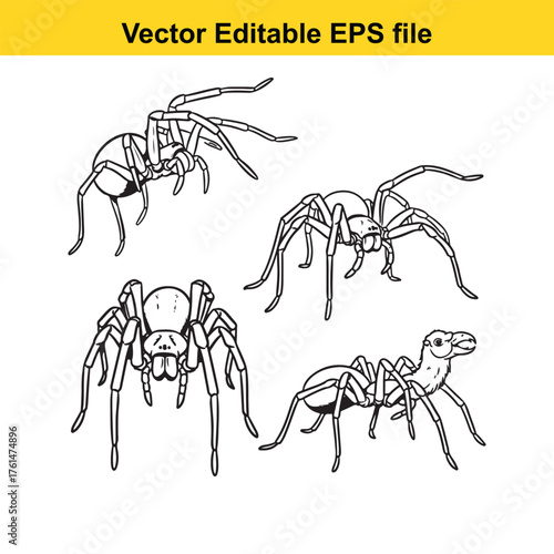 Vector art of set of four spiders and ants