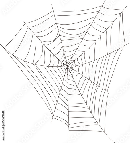 spiderweb