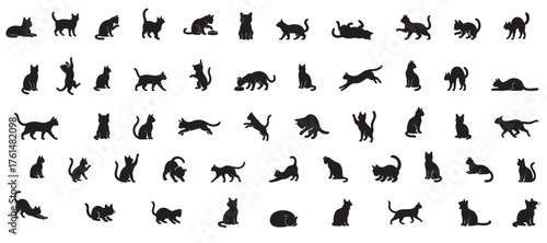 Collection of black cat and kitten silhouettes in various poses, isolated on white background. concept of pets, cute felines, domestic animal, playtime, design element. Set