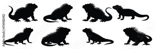 Colorful set of cartoon iguanas isolated on a white background. Concept of reptile illustrations, cute iguana characters, vibrant lizards, nature-themed design elements