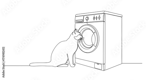 Cat Watching Washing Machine — Curiosity and Domestic Life