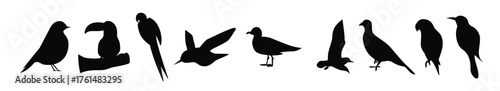 flat bird illustration vector elements 