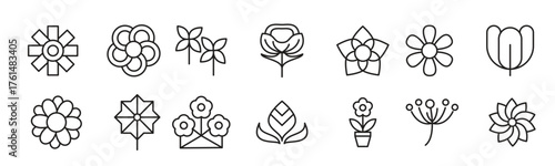 Flower line icon set. rose, tulip, daisy bouquet,  violet, jasmine, calendula, echinacea, iris, chamomile,  gardening,  landscaping, sunflower, lily, dandelion, 