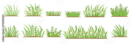 Green Grass flat icon set. Isolated on white background, Leaf borders, flower elements, nature background vector illustration. Green land concept for template design