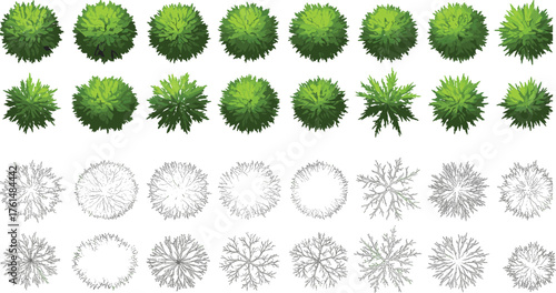 Realistic top view green tree foliage collection, architectural landscape plant symbols, eco garden and nature elements, environment design, cad drawing flat vector illustration