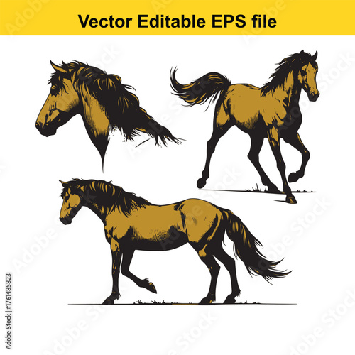 Vector art of collection of three horse illustrations a head profile, a walking horse, and a trotting horse, isolated on a