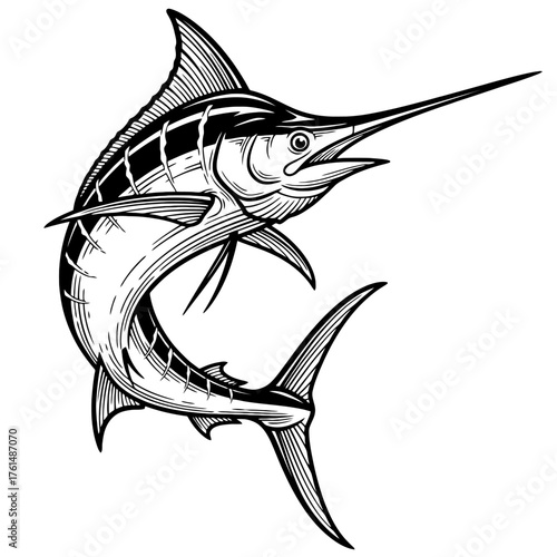 Marlin Fish vector illustration.