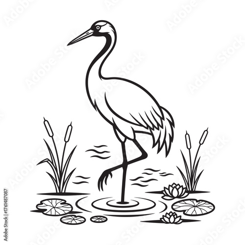 Line art illustration of a heron standing in a pond with lilies.