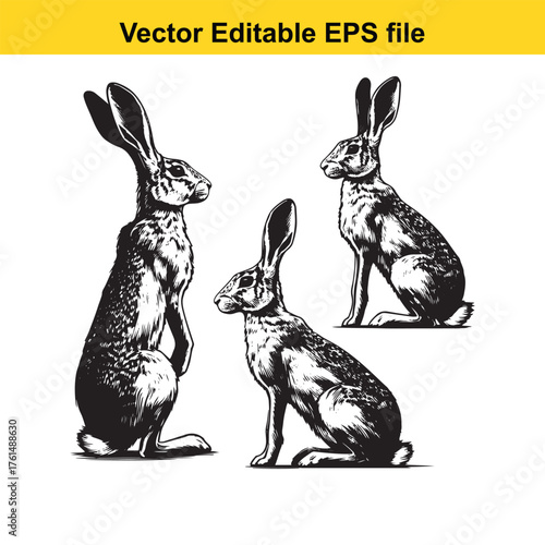 Vector art of three rabbit illustrations in different positions