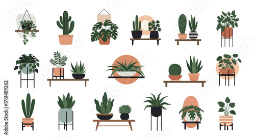 A diverse collection of potted houseplants displayed in various stylish arrangements and settings.
