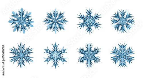 A collection of eight intricate snowflake designs in various shapes and patterns during winter.