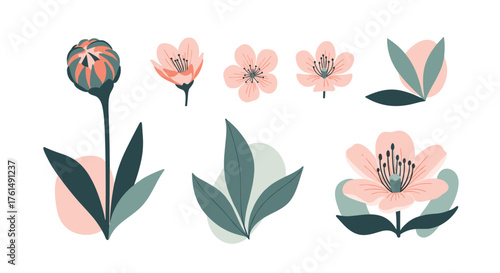 A collection of delicate pink flowers and green leaves with pastel backgrounds.