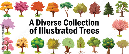 Vibrant Illustrated Trees Collection Different Species Vector Design