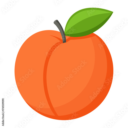 Peach isolated vector illustration on white backgraund
