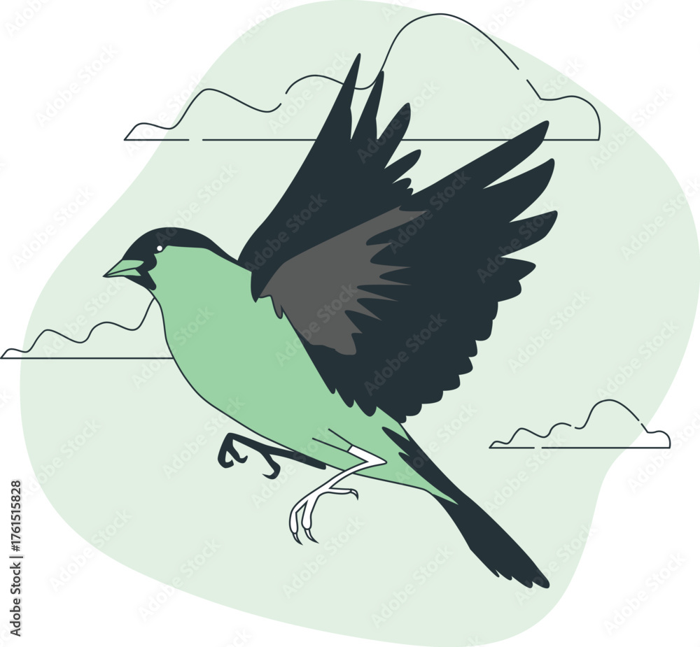 Obraz premium Adobe Illustrator Artwork