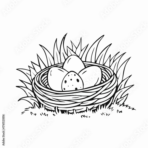 Nest with easter eggs in grass on a sunny spring day - Easter decoration, banner, panorama, background