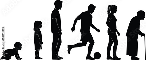 Human life stages silhouettes, growth and aging, childhood to elderly, development concept, education illustration, lifestyle art, generational timeline design