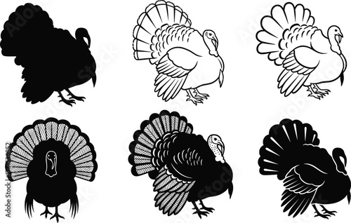 Collection of turkey bird silhouettes in different poses, detailed feather illustration, thanksgiving wildlife artwork, domestic poultry animal study, cad drawing flat vector illustration