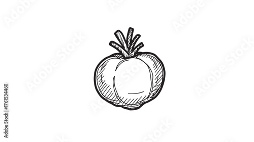 Hand drawn sketch of a fresh, ripe tomato with green stem on white background