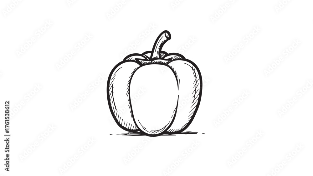 Obraz premium Simple hand-drawn illustration of a bell pepper on a white background