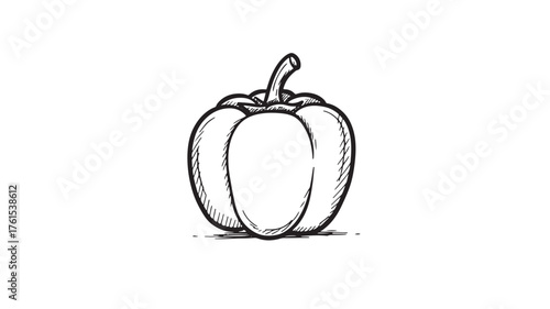 Simple hand-drawn illustration of a bell pepper on a white background