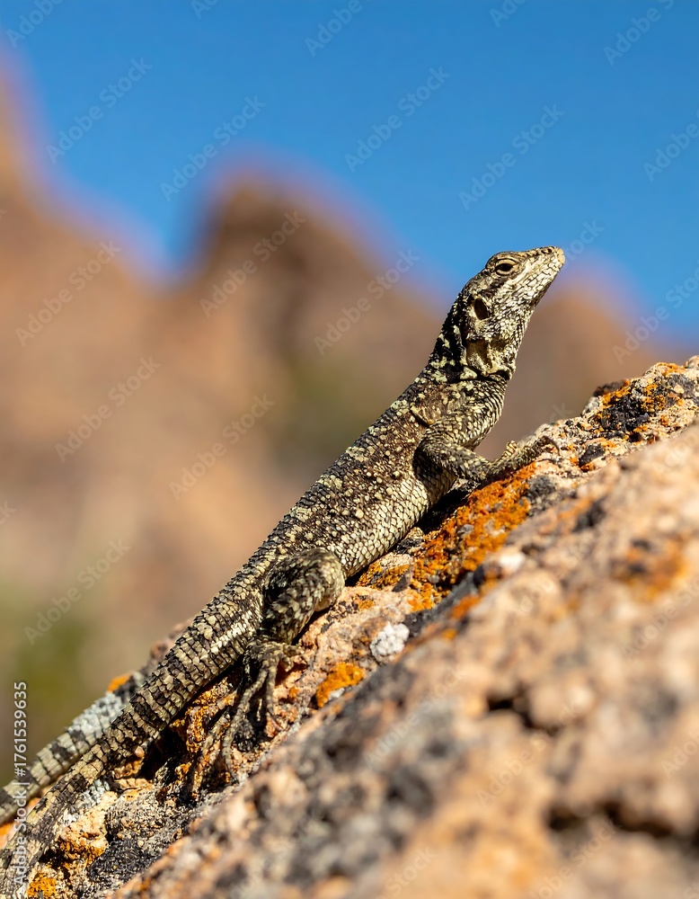 Obraz premium A lizard perched atop a rock against a clear, blue sky