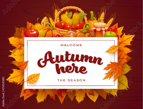 Autumn harvest vector banner with orange pumpkins, red apples, yellow pears, vegetables, and autumn season leaves. Corn cobs, wheat ears, and honey jar with white frame on autumn leaves foliage banner