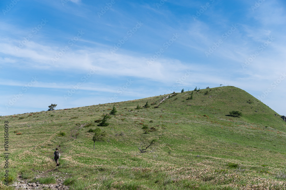 Obraz premium 爽やかな夏の高原 霧ヶ峰 