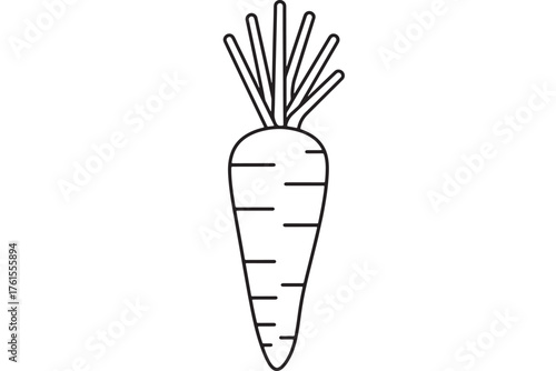 Simple outline drawing of a fresh carrot with green leafy tops